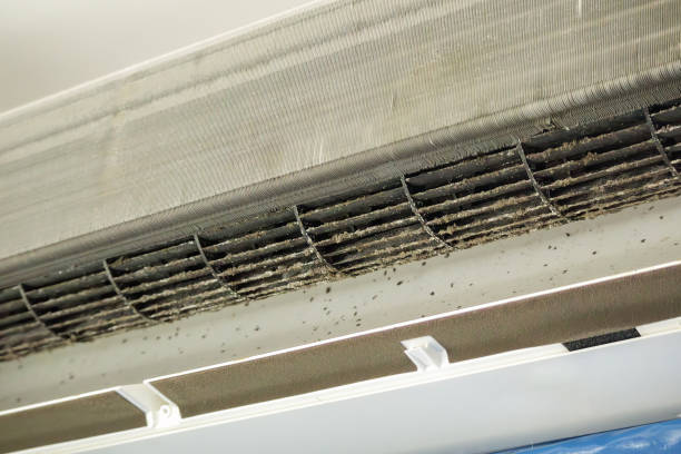 Best Ductwork Cleaning Services  in Ohkay Owingeh, NM